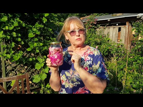 Wideo: Jak Zrobić Lody Z Płatków Róż