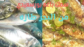 احلي سمك باغه من البحر طازه وشكل السمك جميل وهو حي اتفرجوا هايعجبكم اوي