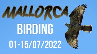 Mallorca Birding 01/07/22-15/07/22