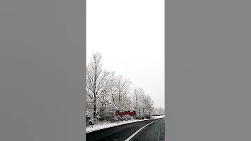 الصمت لغه العظماء الصمت النجاة نجاة لغة عظماء اكسبلور Explore مشاهدات 