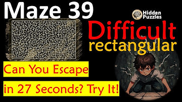 Difficult rectangular mazes Maze 39