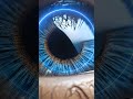 Eye Animation- Free to Use |No Copyright Video Effect|