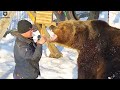 Господин Мансур, ваш завтрак подан, приятного аппетита🐻🍎🌰