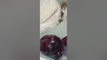 Old cucumber chicken soup with dried red dates