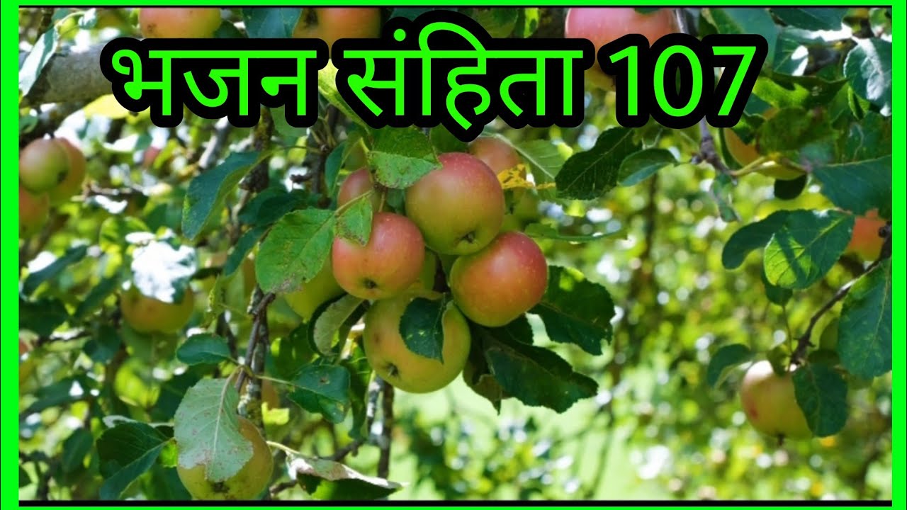 107 Psalm 107 Prayer Worship Morning Prayer 107-psalm-107-prayer-worship-morning-prayer