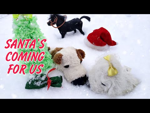 Видео: КЛИП - Santa's coming for us (Sia) | the dog collection