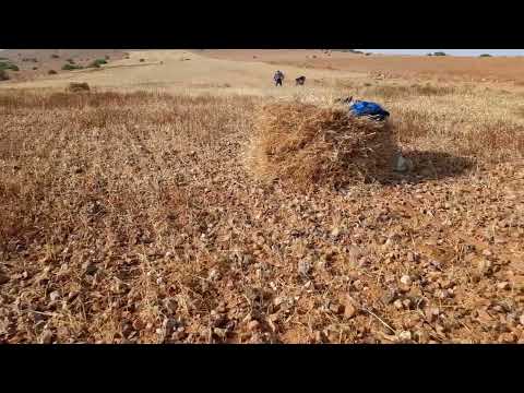 بلاد خاصها اسقى ااااااحمادي