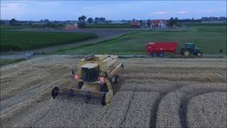 Dorsen wintertarwe Loonwerken Coudeville