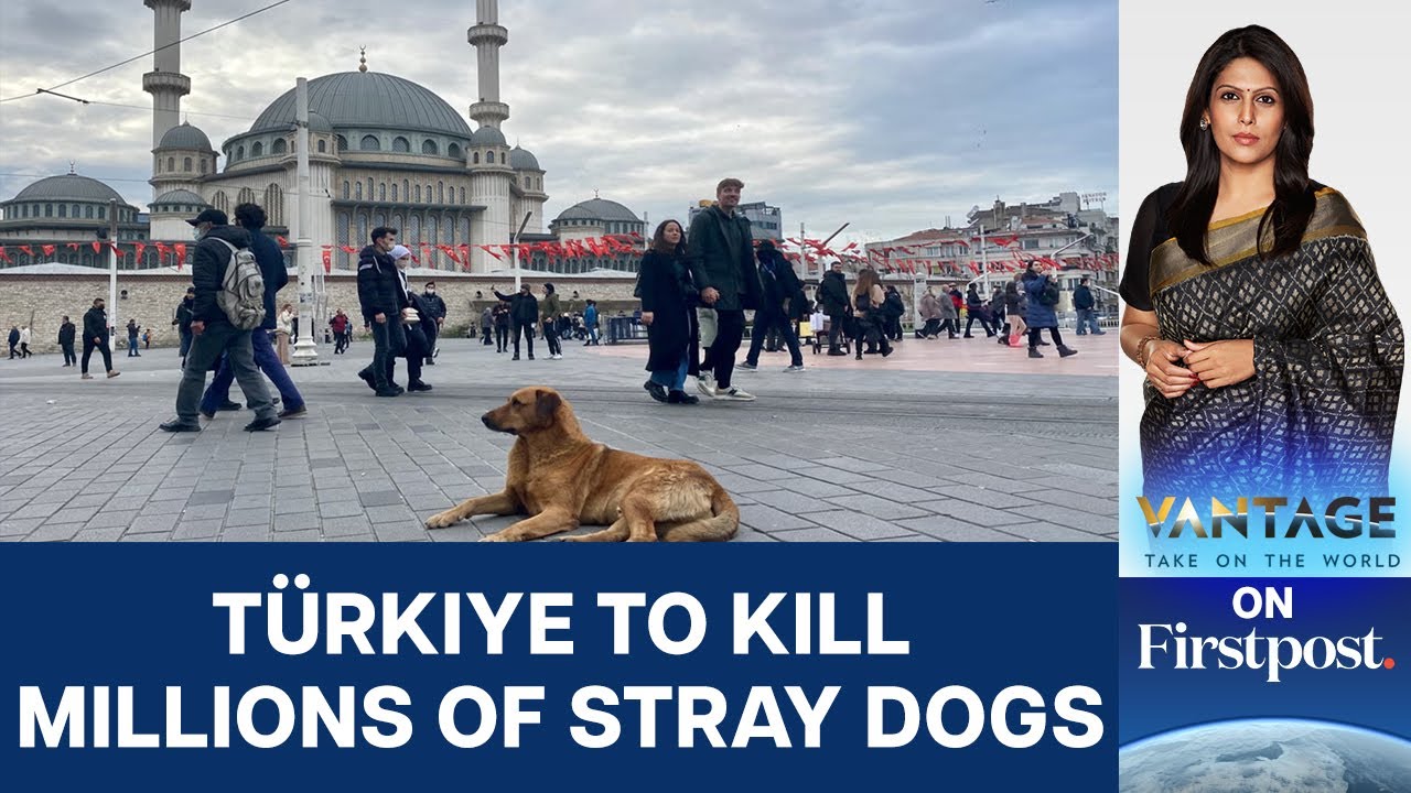 Turks Protest Against Erdogan's New Law Seeking to Euthanise Stray Dogs Vantage with Palki