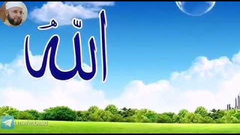 من سورة الزمر 6-7 بصوت الشيخ محمود المبيض