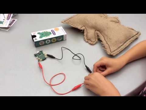 Wearables with Codebug