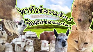 เสนอหน้าพาไปดูKhonkaen Exotic pets