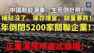 【生死倒計時】中國新能源車：補貼走了！庫存爆倉、銷量暴跌！一年倒閉5200家關聯企業！正重演房地產式崩塌！#新能源#車市#補貼退潮#中国经济#比亞迪#價格戰#地方財政#產業泡沫#特斯拉#中国新能源