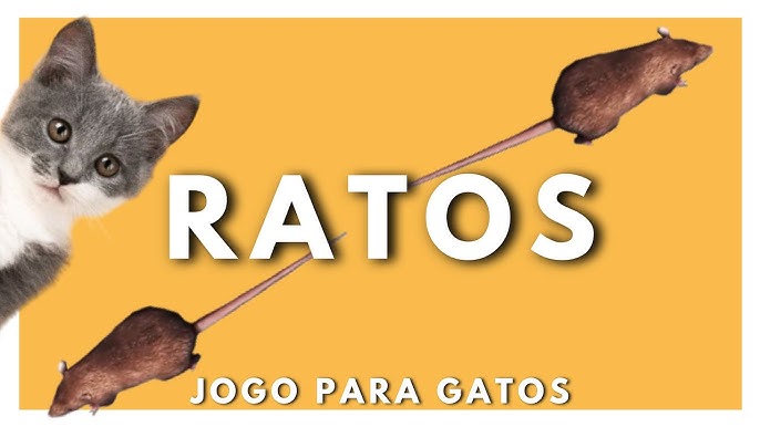 JOGOS PARA GATOS: RATOS, BARATAS, LAGARTIXAS E MAIS - GAMES FOR