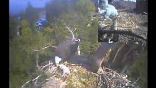 Dad leaves 2.58 pm meets mum at peters lets out of bowl mum rolls back  [938].wmv