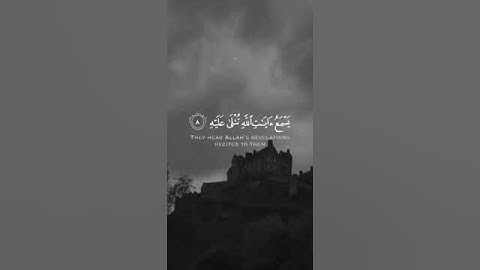 {وَيْلٌ لِكُلِّ أَفَّاكٍ أَثِيمٍ } القارئ: ياسر الدوسري🌱.