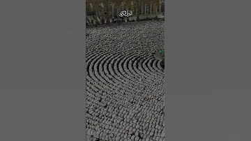 اريد الحب في قلب شريف 