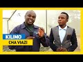 TBC SHAMBANI KILIMO CHA VIAZI
