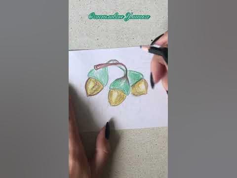 ЖЁЛУДЬ // РИСУЮ ОСЕНЬ КАРАНДАШАМИ // РИСОВАНИЕ ДЕТЯМ #shorts - YouTube