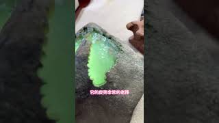 翡翠原石的X射線密語 | X-ray Language of Jadeite Rough