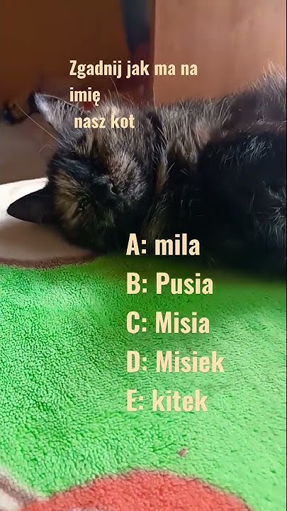 Jak Ma Na Imię żona Sławomira jak ma na im..... - YouTube