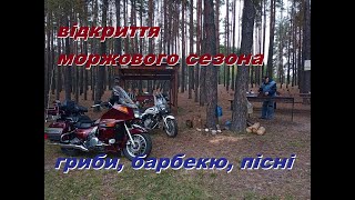 картинка: відкриття моржового сезона 25-26