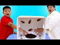 Alex Play Learning About Insects with Mystery Box Toy Challenge| Fun Insect Facts and Toys for Kids