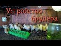 Устройство брудера//Устранил недостатки