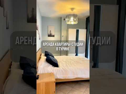 #shotrs Аренда студии