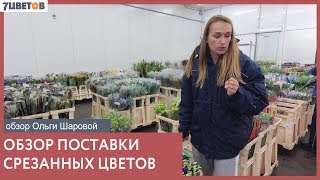 Ольга Шарова | Обзор поставки срезанных цветов