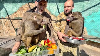 Люся сразу поняла что все эти вкуснятины для нее и стала их жестко распределять-ВСЕ МНЕ❤️ - 15 