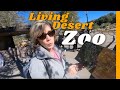 LIVING DESERT ZOO | WHAT TO DO IN PALM SPRINGS