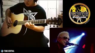 Scorpions - Love Is The Answer (MTV Unplugged - Guitar Cover)