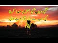 آخرین فریاد زینب کوچک س حکایت دلخراش کربلا آخرین فریاد زینب کوچک س حکایت دلخراش کربلا