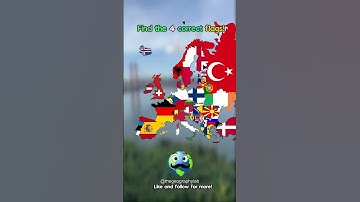 FIND THE 4 CORRECT FLAGS! ✅🌎