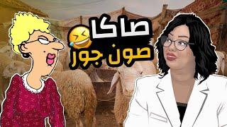 الاستاذة و الدكتورة 😅🐑 كبش العيد