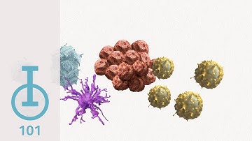 IOU Youtube: Chapter 3: How Does IO Work?