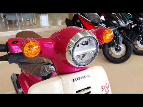 New 2020 Honda Super Cub Pink