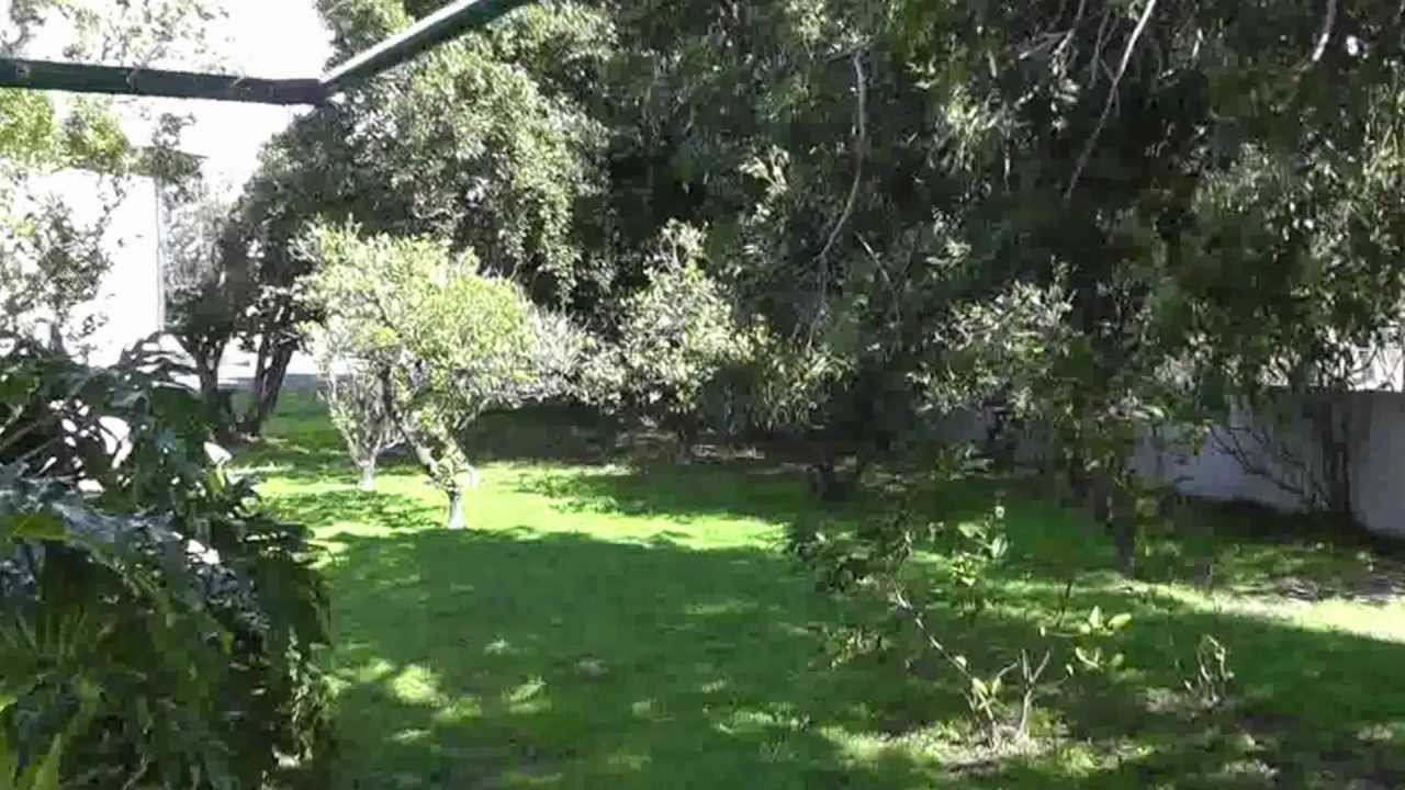 "Houses for Rent in Eaton" 3BR/1BA by "Eaton Property Management" YouTube