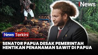 Download Lagu Senator Finsen Desak Pemerintah Hentikan Penanaman Sawit di Papua: Orang Papua Gak Suka Itu MP3