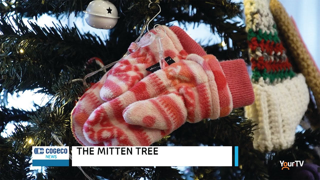 The Mitten Tree Youtube
