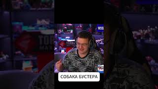 ПЯТЕРКА ПРО СОБАКУ БУСТЕРА #5opka #пятерканарезка #twitch #бустер