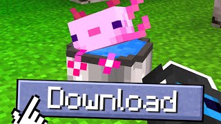 HO SCARICATO LE 10 PEGGIORI MOD DI MINECRAFT - ITA screenshot 3