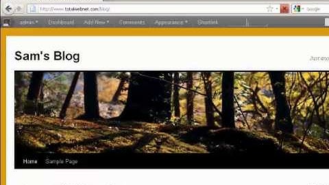 How to Schedule Blog Post For Future Date