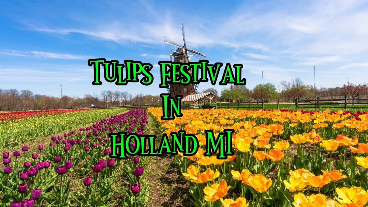 Фестиваль тюльпанов, Холланд, штат Мичиган.