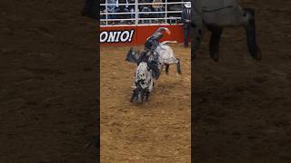 Luke Mast Taking 1st at XtremeBulls San Antonio Only one to ride in the short go bullriding