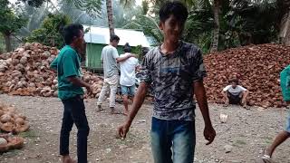 Mabuk Baru jujur