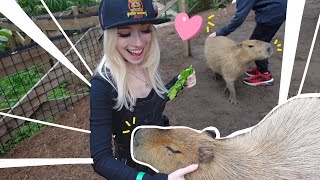 We pet capybaras!!