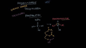 Lipids- structure in cell membranes