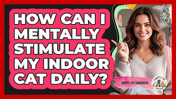 How Can I Mentally Stimulate My Indoor Cat Daily? - Happy Cat Handbook